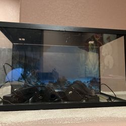 Fish Tank with Lid and Filter 