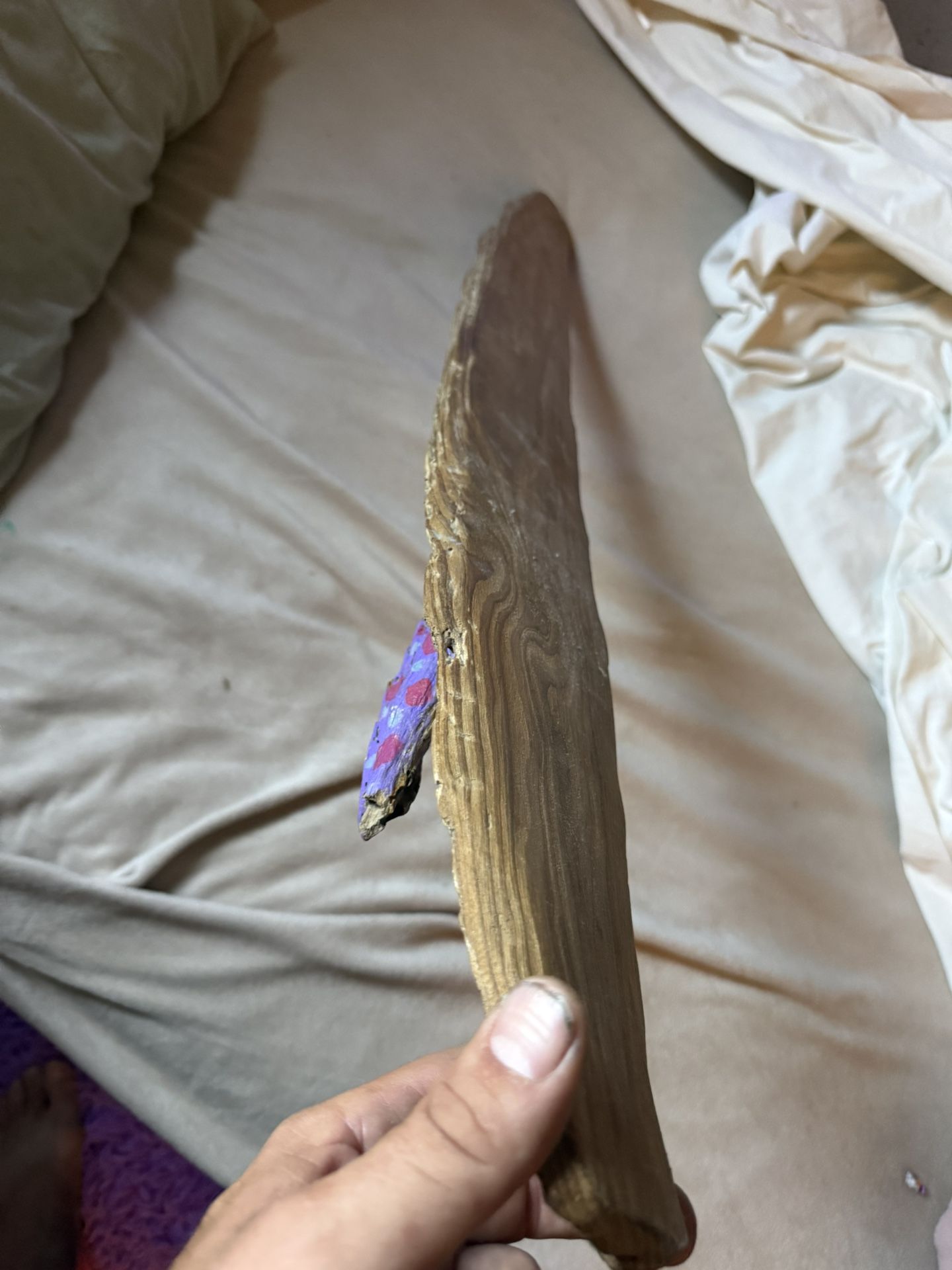 🌊 Hand-Carved Surfboard-Shaped Driftwood 🏄‍♂️ Polished Beach Art Piece 🌴  Super unique piece of driftwood I found, polished up, and shaped myself —