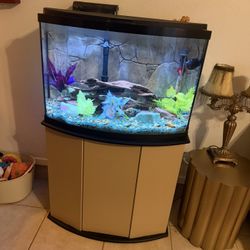 37gallon Bow Front Aquarium With Stand