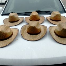 Hats /Cowboy 