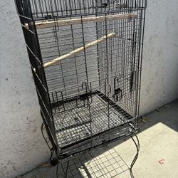 Bird Cage 