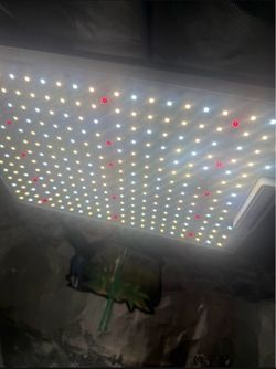 Grow tent and light combo mars hydro
