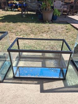 Fish tank