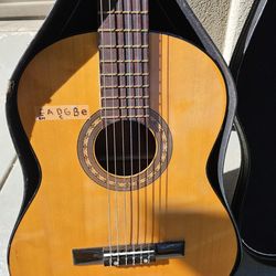 6 string guitar with carrying cas