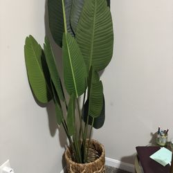 Home Bedroom Decor 