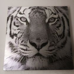 Tiger Canvas 