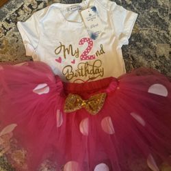 Minnie Mouse Pink 2 Year Old Birthday Outfit 