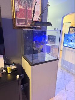 40 Gallon Cube