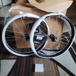 NEW Bicycle Bmx Wheel Rims 20" Pro Plus Araya Replicas