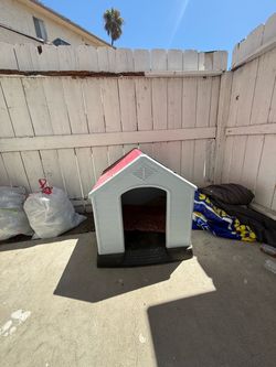 Outside Dog House