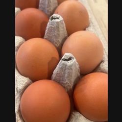 FARM FRESH EGGS 
