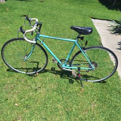 19 inch  or 48 cm. Schiwnn bike