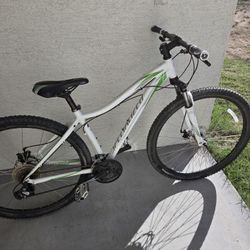 Aluminum Specialized Bicycle 29