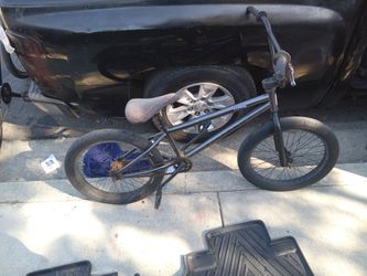 Elite bmx