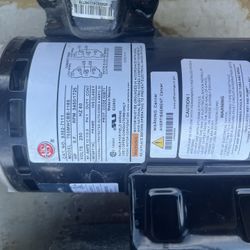 Spa Motor/Impeller