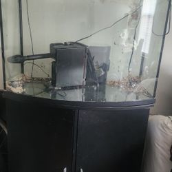 Fish Tank 38gallon