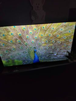 TCL Smart TV 56  Inch 