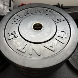 Giant Bumper Plates