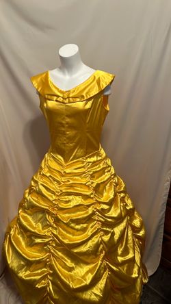 Beauty and the beast gown & hoop size medium