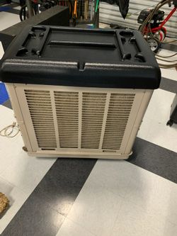 Large Cooler, Swamp, Water Cooler