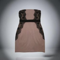 Strapless Bodycon Dress with Lace