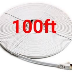 100ft Cat7 Ethernet Network Cable 