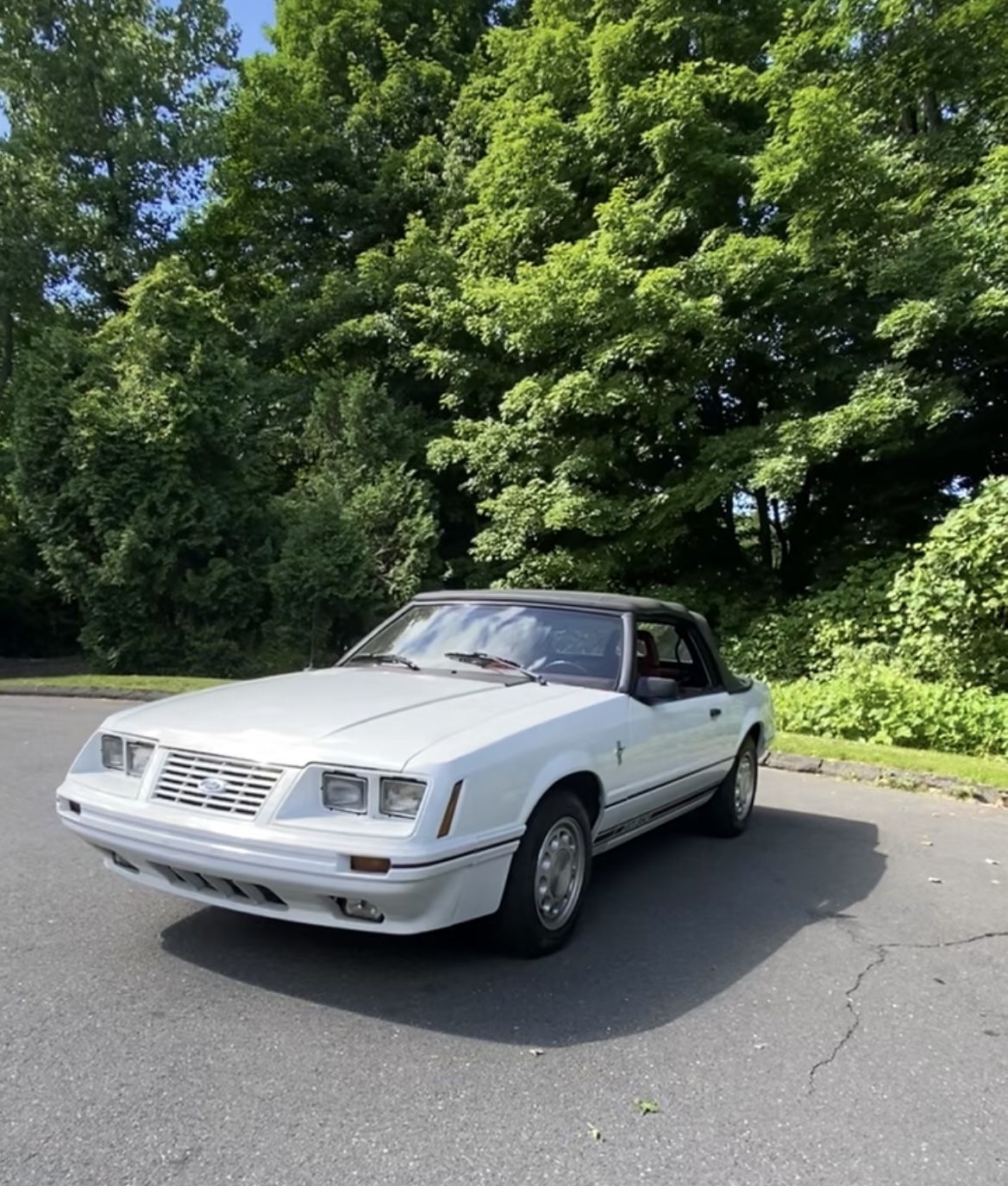 1984 Ford Mustang GT350 V8 Convertible