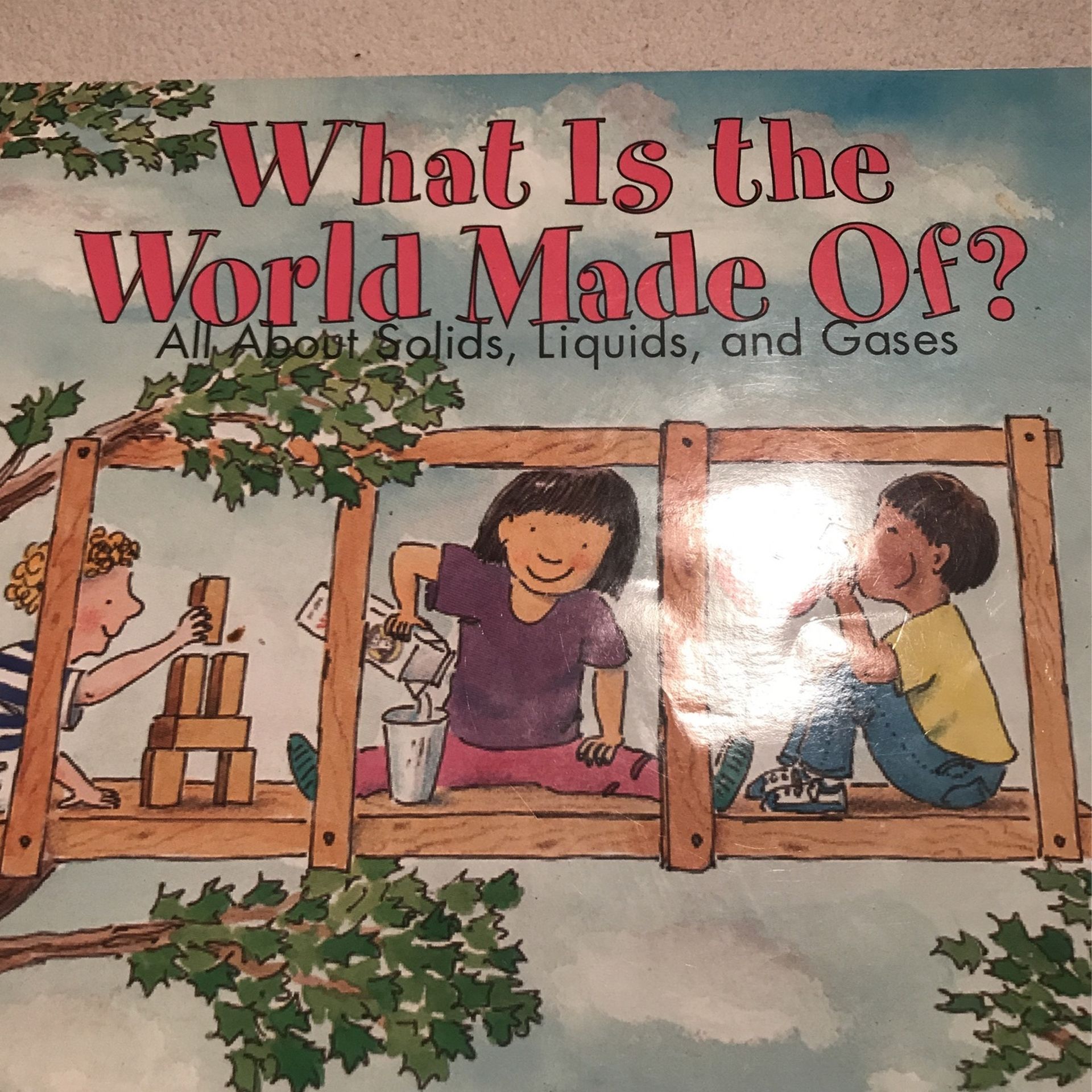 What Is The World Made Of? Book