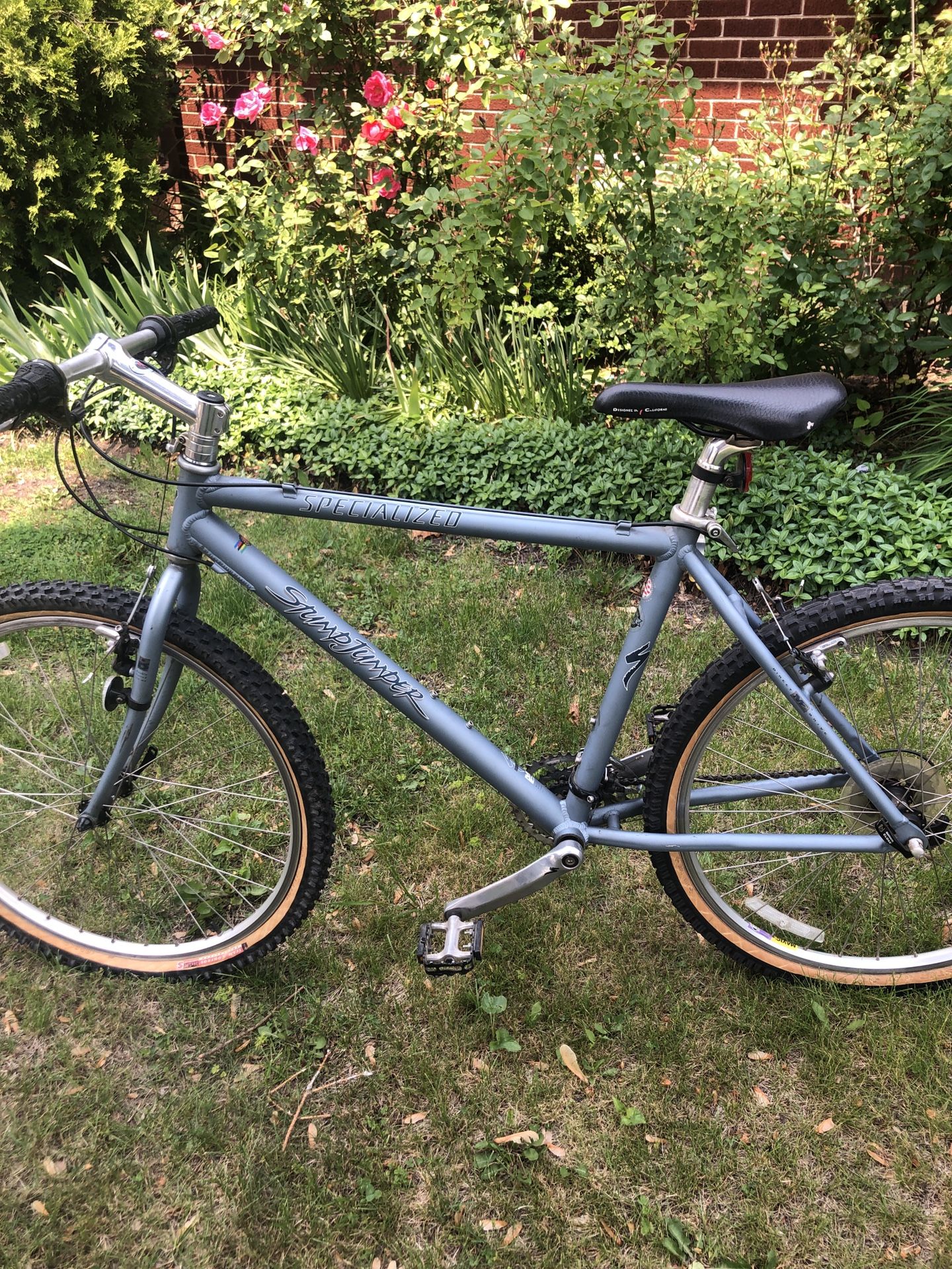 Specialize Bike