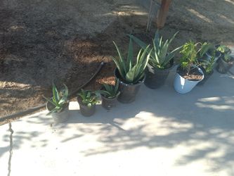 Yard Sale