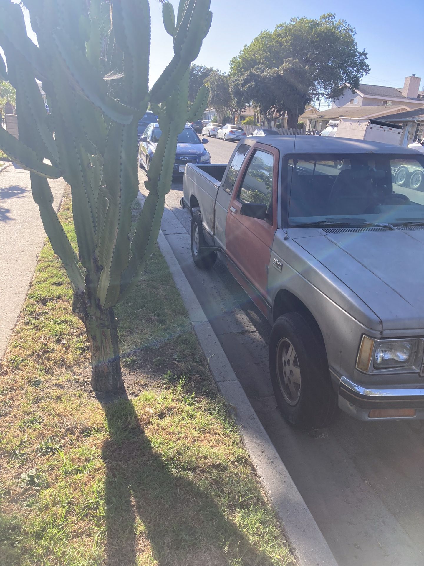 Chevrolet S-10