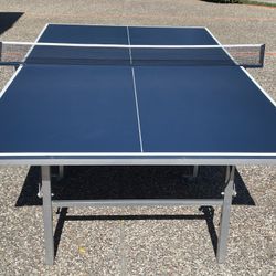 Ping Pong/Table Tennis Table