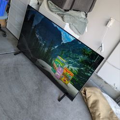 TOSHIBA 65-inch TV with panel issue
