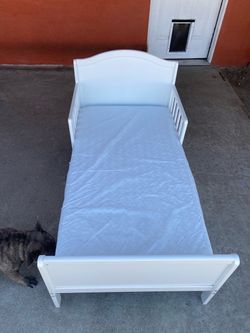 White puppy Bed with Mattress