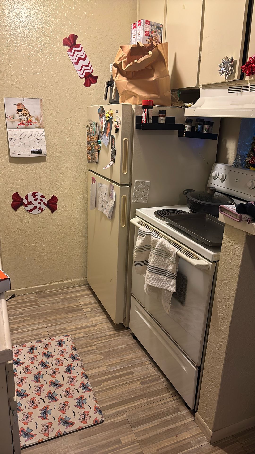 Great Working Fridge