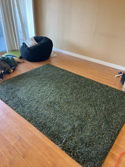 6x8 ft green rug