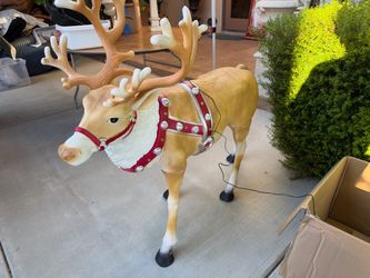 Reindeer with lights from Hone Accents