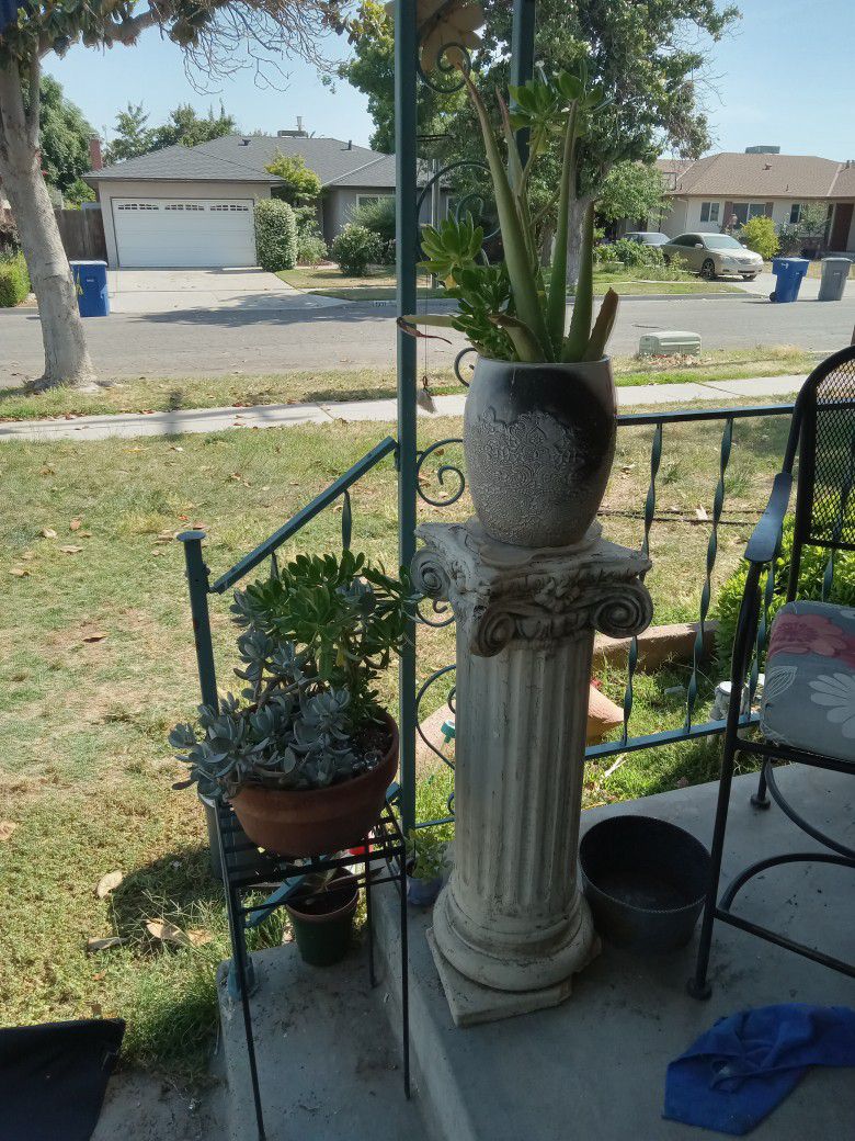 Pillars And Succulents 