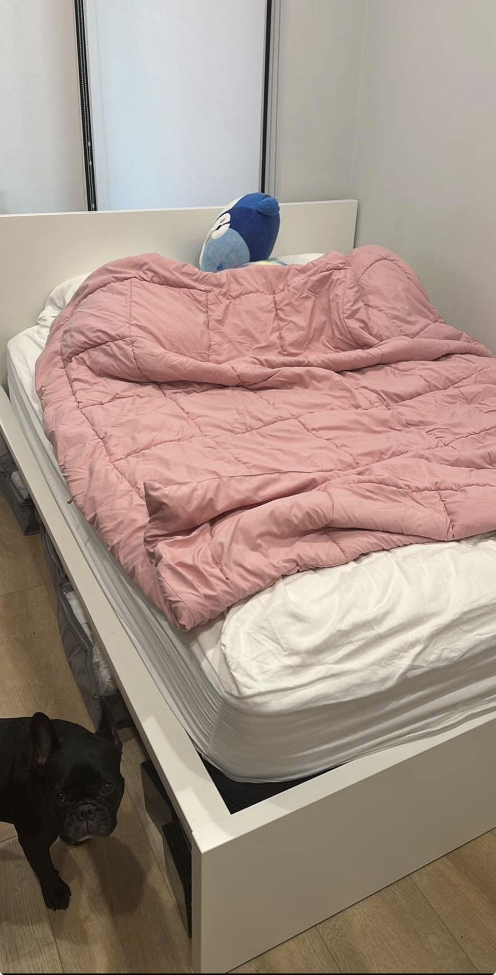 Super Comfy Like New Queen Bed and Bed Frame