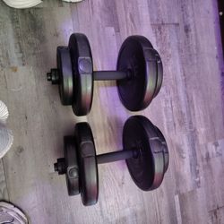 Dumbells 20 Pounds 