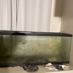 55 Gallons Fish Tank 