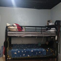 Twin Bunk Bed  