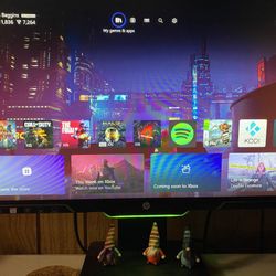 HP Monitor 