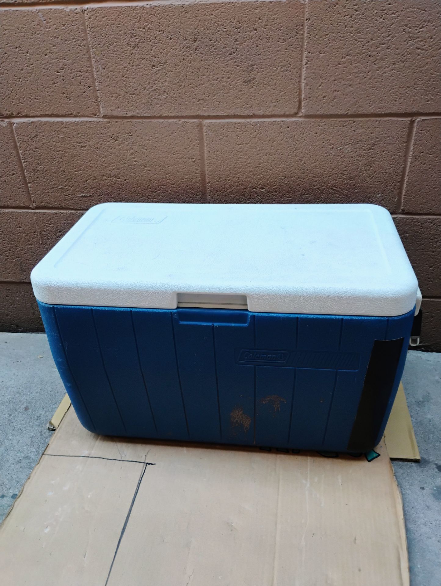 Coleman Large Blue Cooler