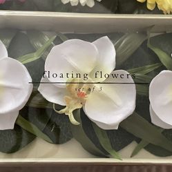 Pier 1 Imports Floating Flowers (3) Per Box 