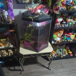 20 Gallon Hexagon Fish Tank