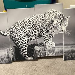 Leopard Canvas Like New