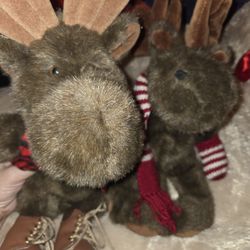 Moose Collectibles 