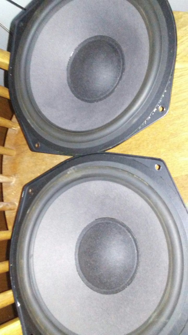 Vintage ADS 10 inch woofers pair speakers