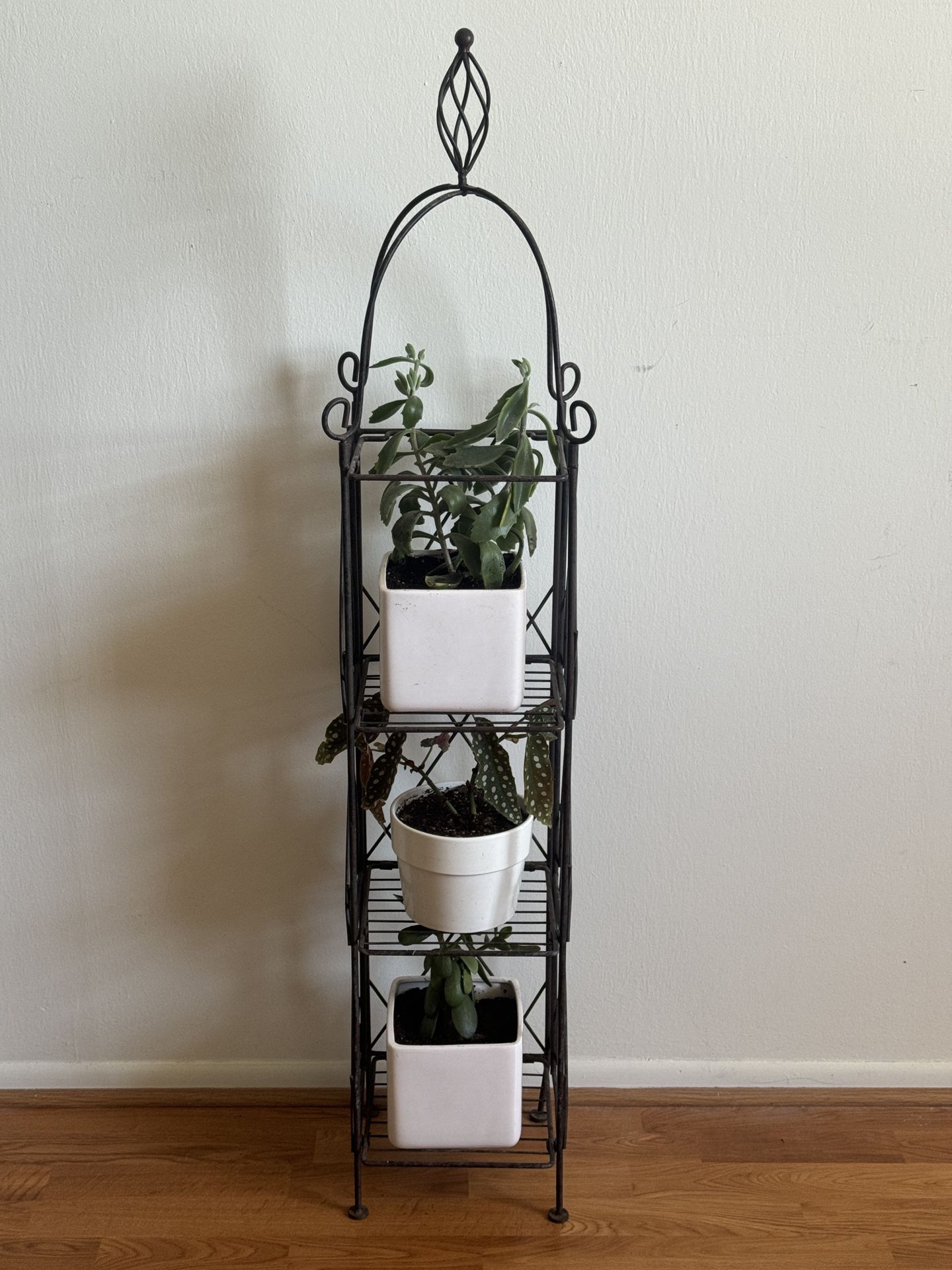 3 plants in white ceramic pots with metal shelf